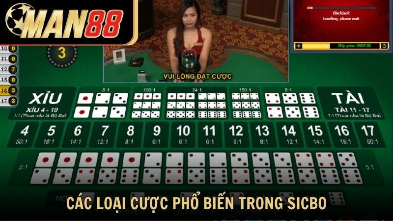 Các loại cược phổ biến trong cách chơi Sicbo tại Man88