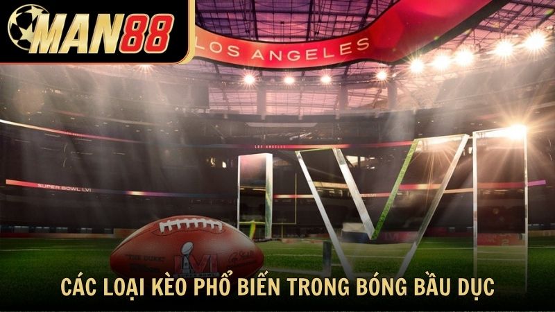 Các loại kèo phổ biến trong cá cược bóng bầu dục Man88