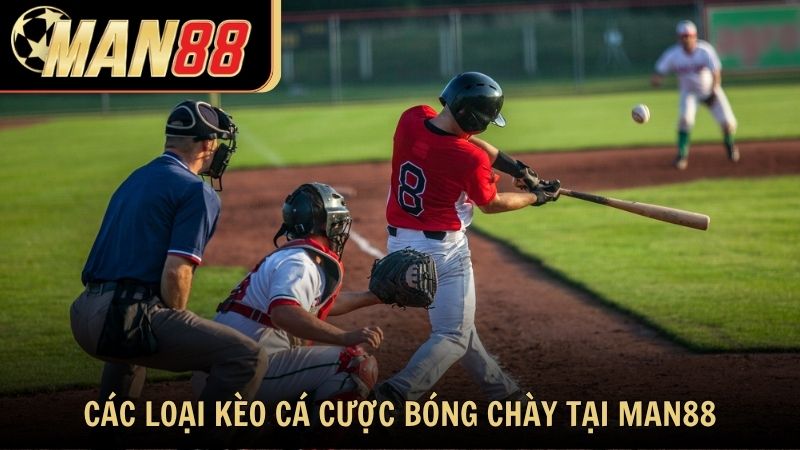 Các loại kèo cá cược bóng chày phổ biến tại Man88