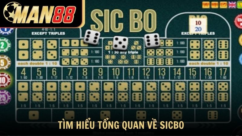 Tìm hiểu tổng quan về Sicbo và luật chơi cơ bản cùng Man88